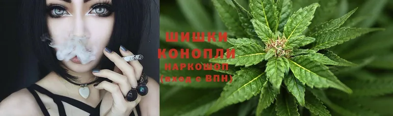 Шишки марихуана OG Kush  Беломорск 